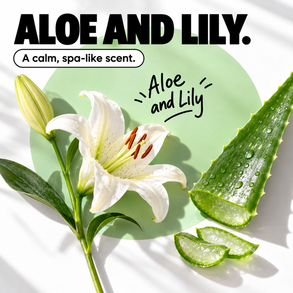 Instant Multi-Surface Polish | Aloe and Lily